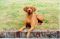 gal/Hookside Csitri/_thb_003.jpg
